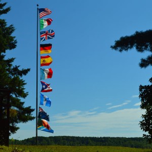 Flags in the wind at camp