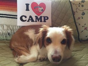 WeHaKee Camp Dog, Franky, with a I love camp sign.